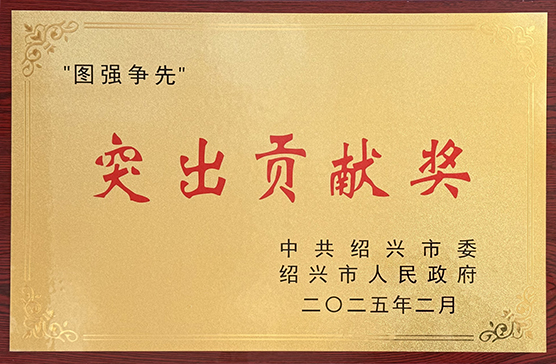 中共绍兴市委“图强争先”突出贡献奖